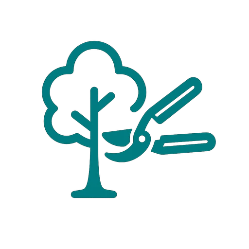 Careful pruning cuts removing deadwood from a mature shade tree